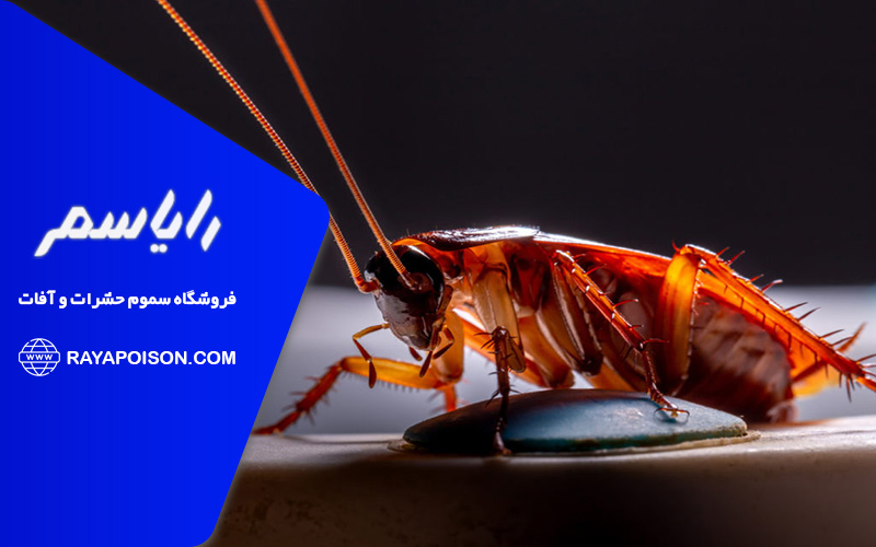 اهمیت استفاده از سم سوسک