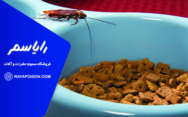 حفاظت از مواد غذایی