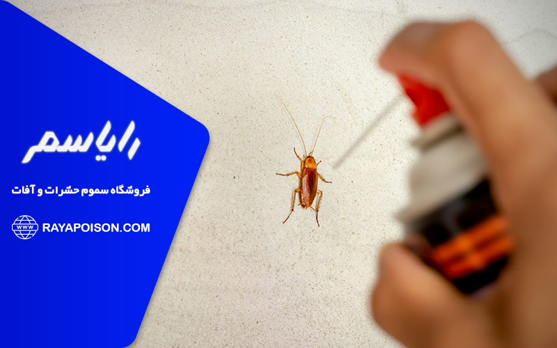 نحوه کنترل سوسک ها