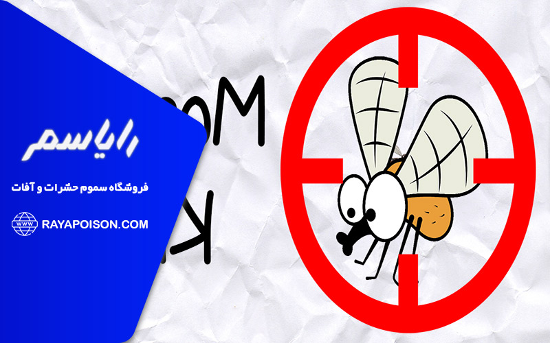 بهترین روش های از بین بردن پشه ریز توالت