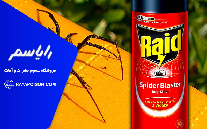 نحوه استفاده صحیح از سم برای از بین بردن عنکبوت ها