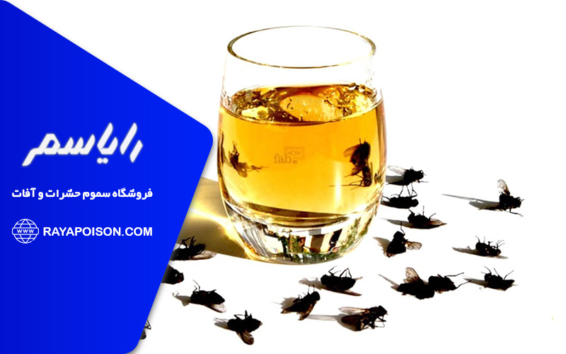 روش های طبیعی دفع مگس