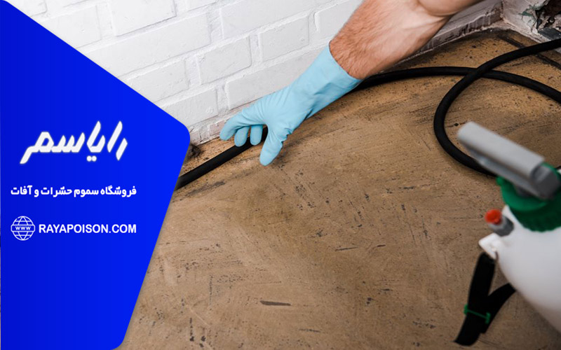 خطرات ناشی از جویدن سیم های برق توسط موش ها