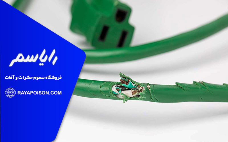 راهکارهای جلوگیری از جویده شدن سیم های برق توسط موش ها