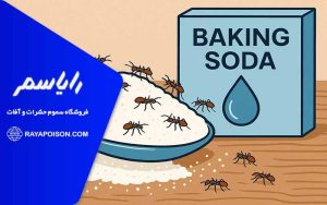 تاثیر شکر و جوش شیرین در نابودی مورچه ها