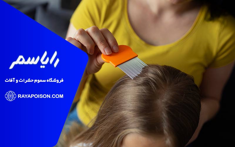 از کجا مطمئن شویم که پای شپش در میان است؟