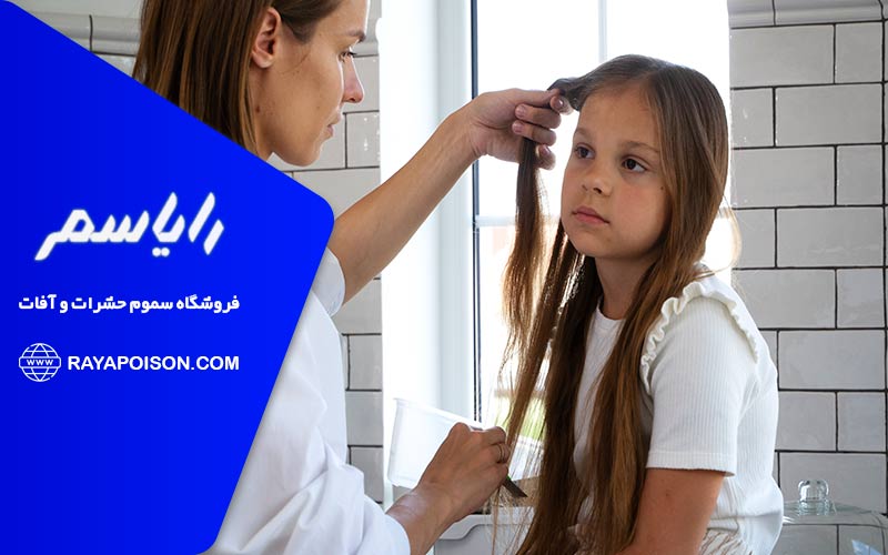 اشتباهات رایج در درمان شپش که باعث بازگشت آن می شود.