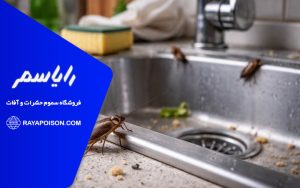 سوسک در آشپزخانه نشانه چیست و چه خطری دارد