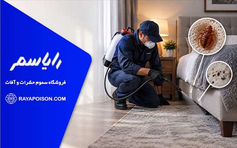 اشتباهات رایج بعد از سمپاشی سوسک
