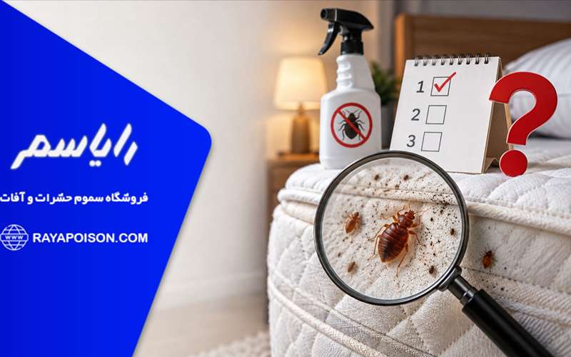 نحوه انجام سم پاشی ساس