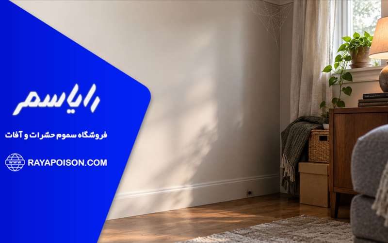 علت وجود عنکبوت در خانه