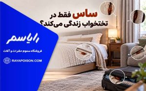 محل زندگی ساس